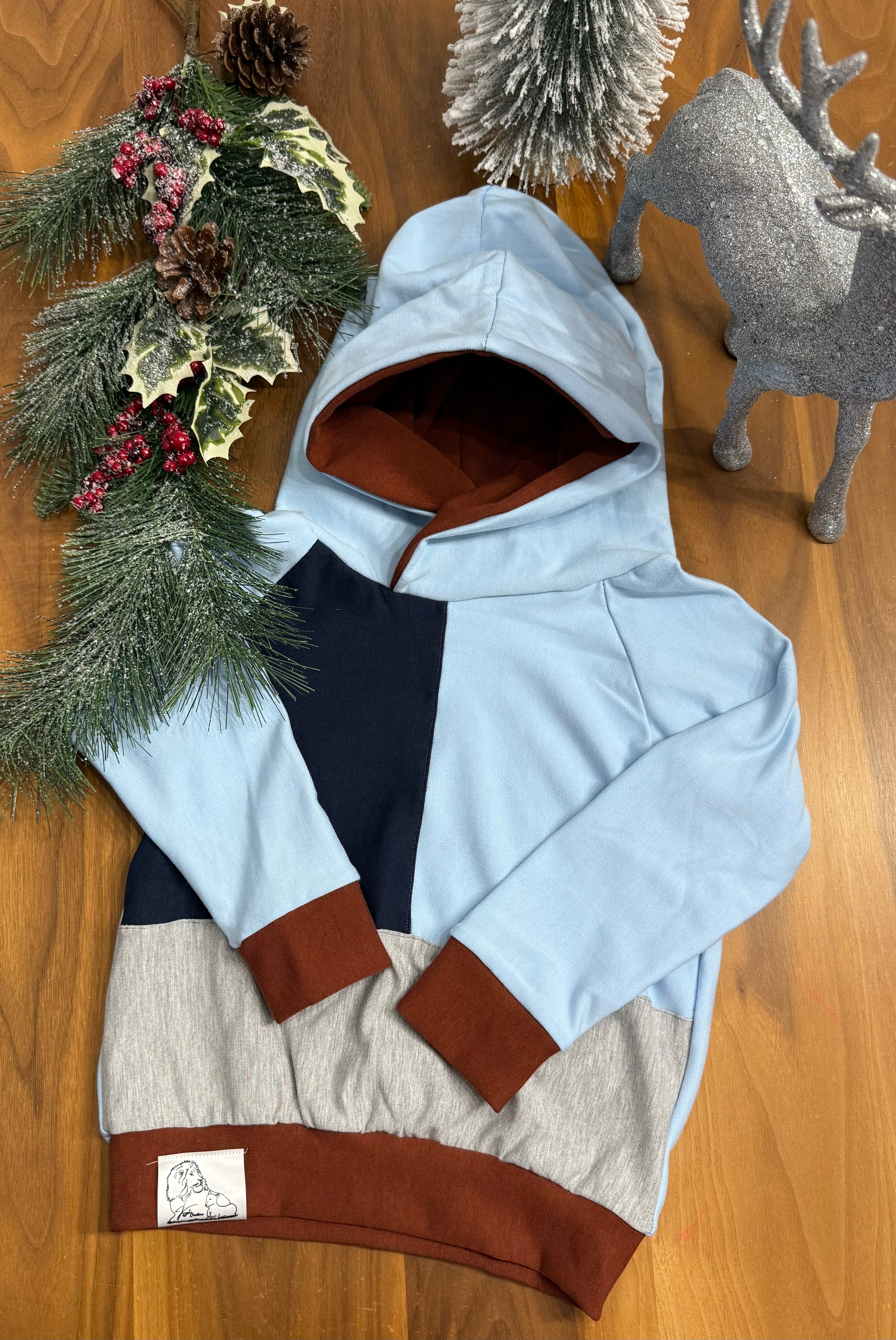 Hoodie Color Block