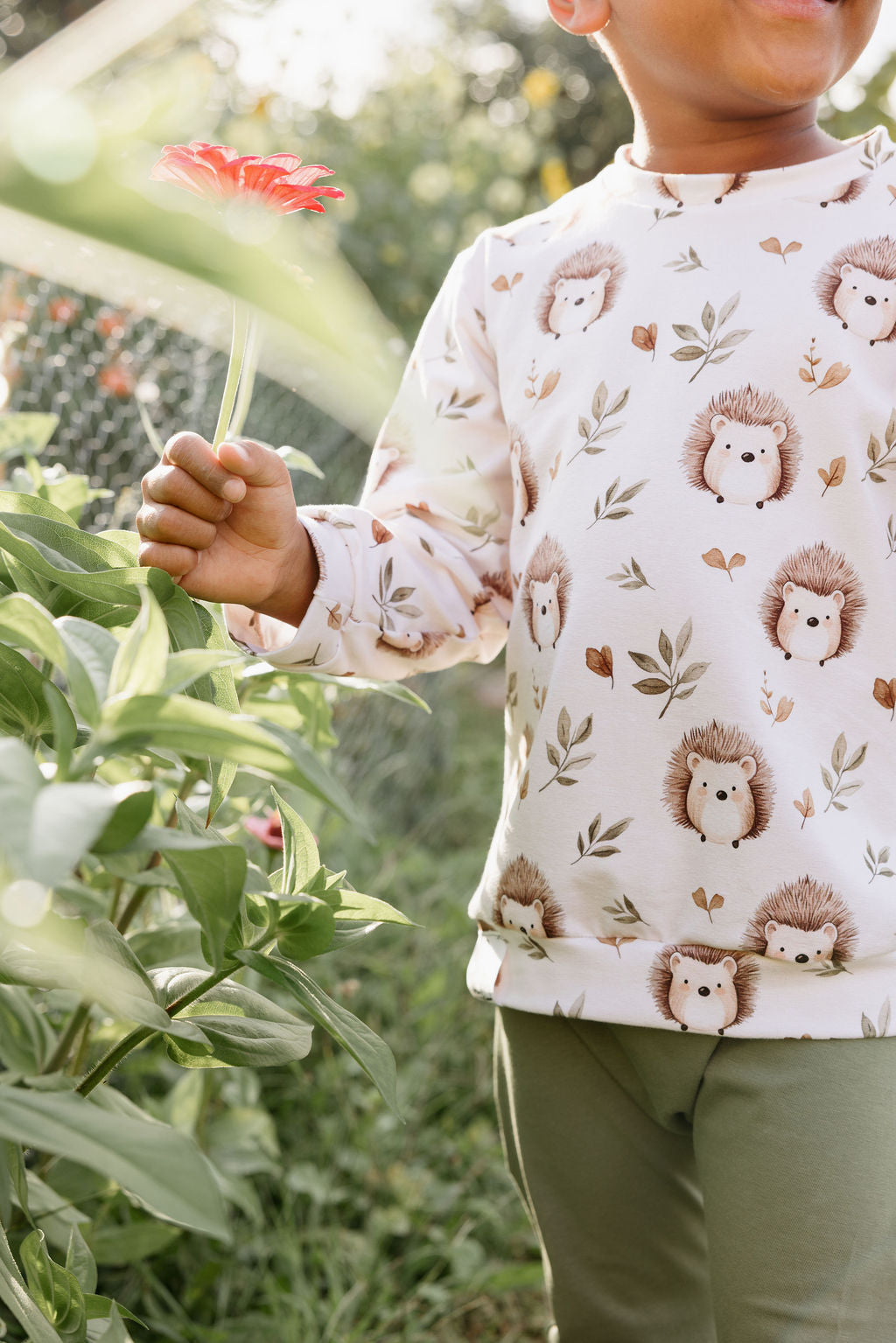 Crewneck Hérissons Brun